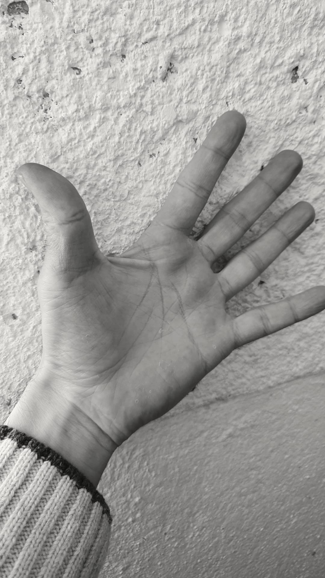 the palm that can achieve wonderful things