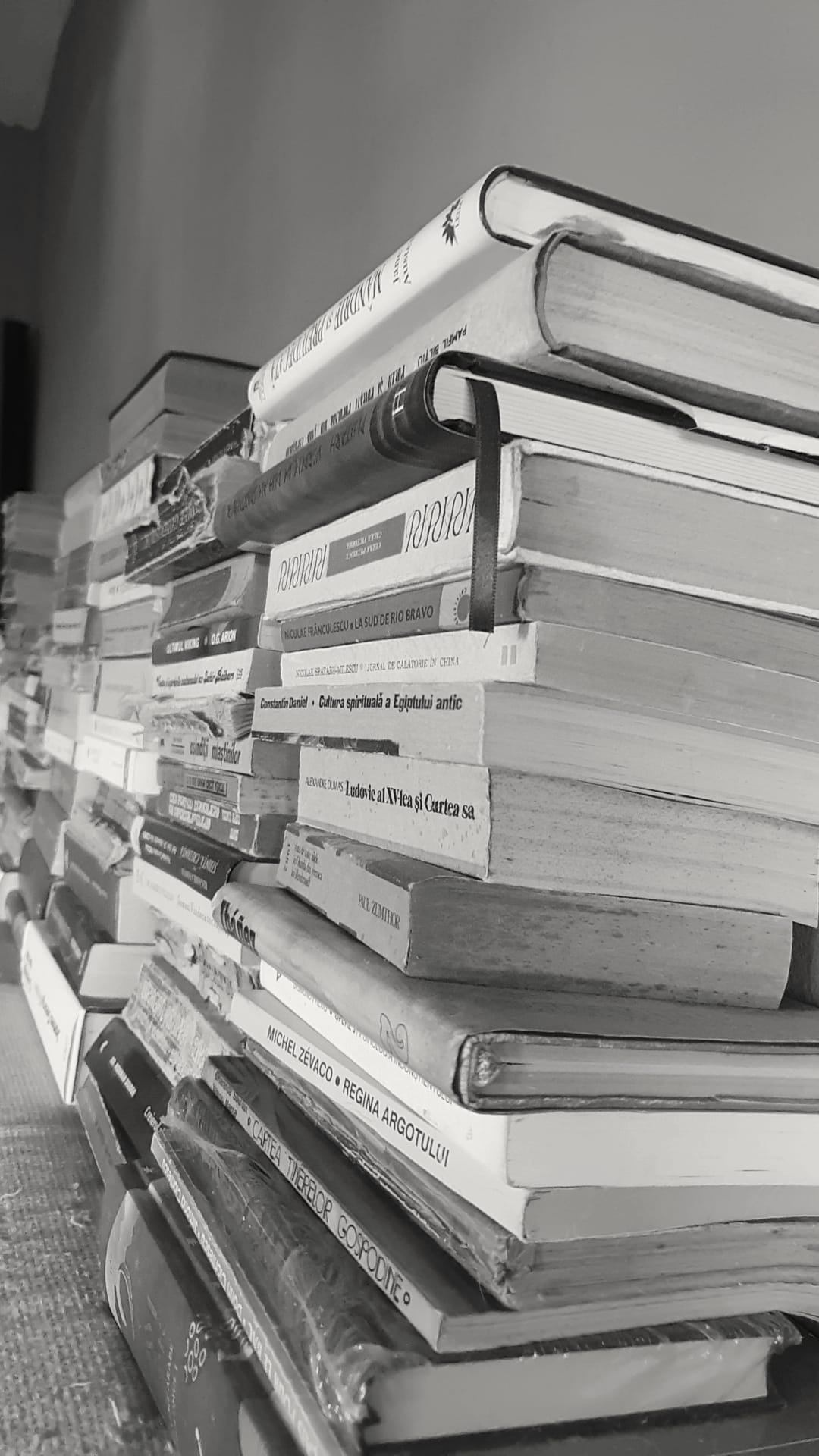 Books are our first teachers.