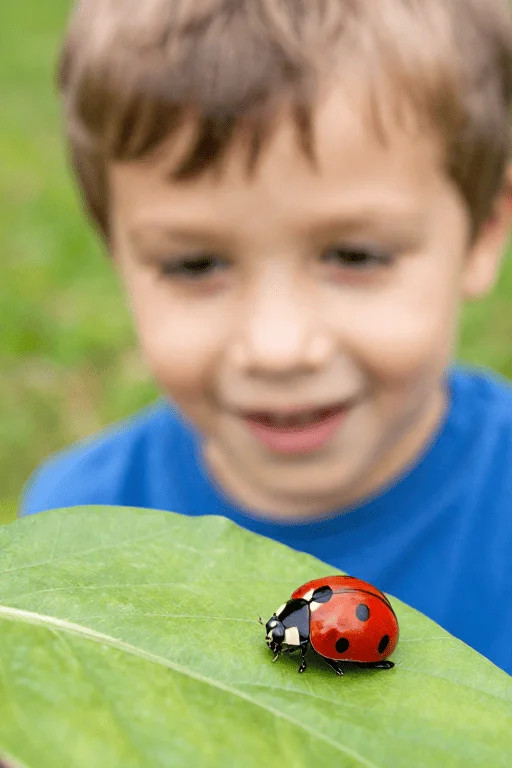 走出舒适区，从一个充满好奇的眼神开始。别让过去不愉快的情绪，剥夺了你探索生命微小奇迹的兴致。