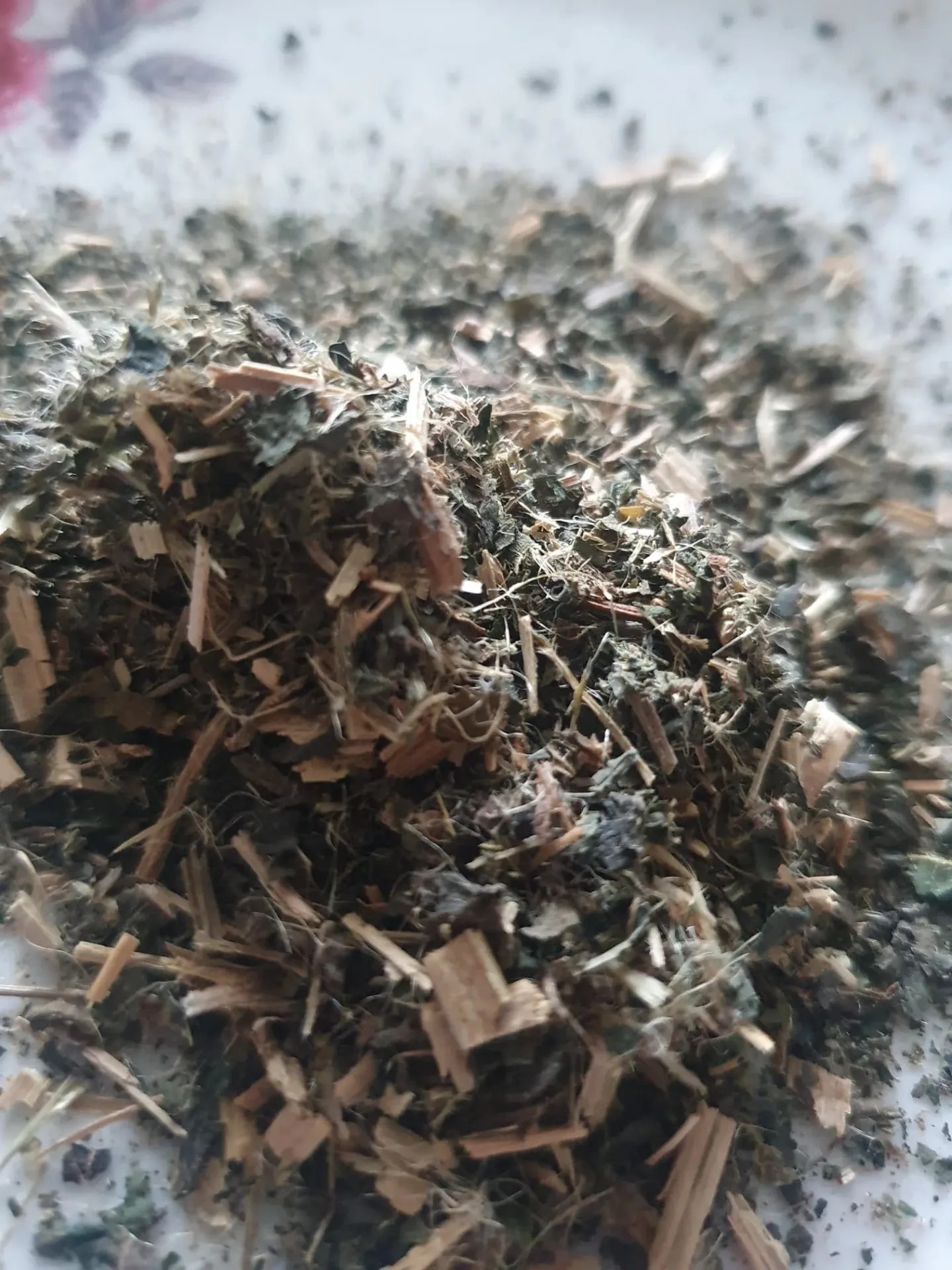 异株荨麻 (Urtica dioica) 一种有用的药用植物，用于身体排毒、对抗贫血、促进关节健康以及其他自然疗法。