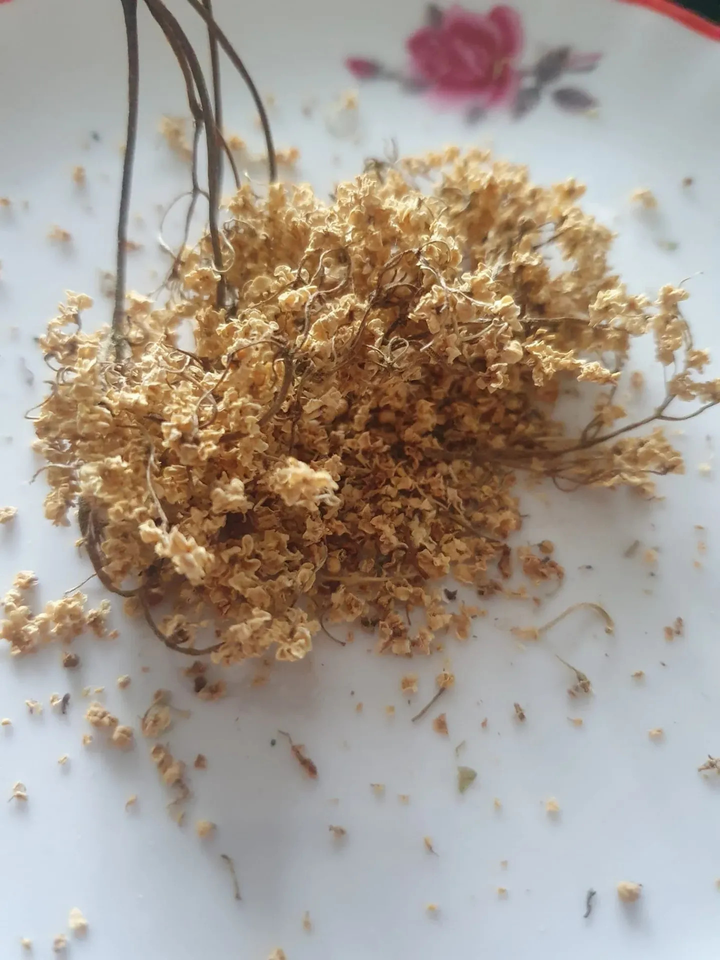 Flori de soc uscate (Sambucus nigra) – plantă medicinală folositoare pentru combaterea simptomelor de răceală, gripă, susținerea imunității și alte remedii naturiste.