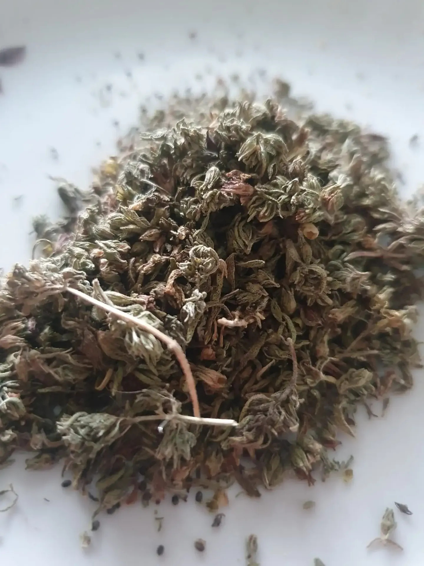 Getrockneter und zerkleinerter Thymian (Thymus vulgaris) – eine Heilpflanze, die nützlich für die Verdauung und die Gesundheit der Atemwege ist.